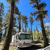 Review photo of Grand Canyon North Dispersed camping by Robert G., May 27, 2022