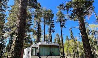 Camping near Saddle Mountain (Kaibab NF): Grand Canyon North Dispersed camping, North Rim, Arizona