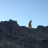 Review photo of Mt. Timpanogos by Kerry E., July 14, 2018