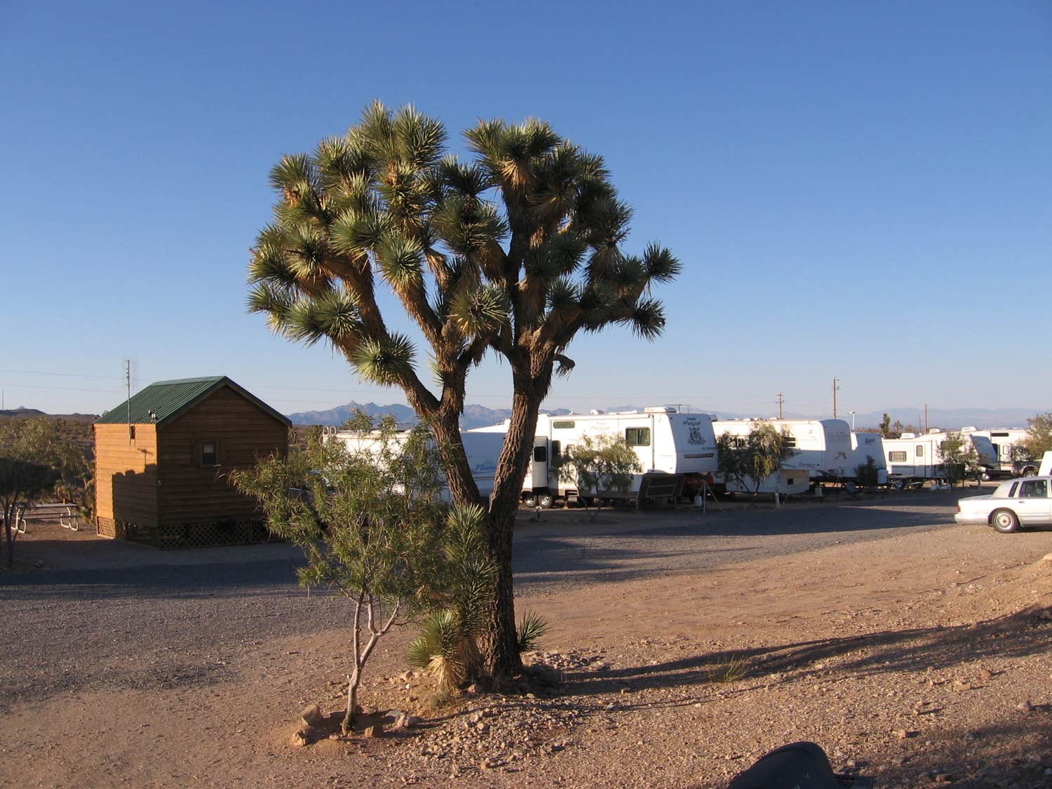 Camper-submitted photo at Meadview RV Park near Temple Bar Marina, AZ