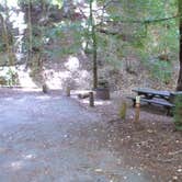 Review photo of Elk Prairie Campground — Prairie Creek Redwoods State Park by phillip L., July 26, 2016