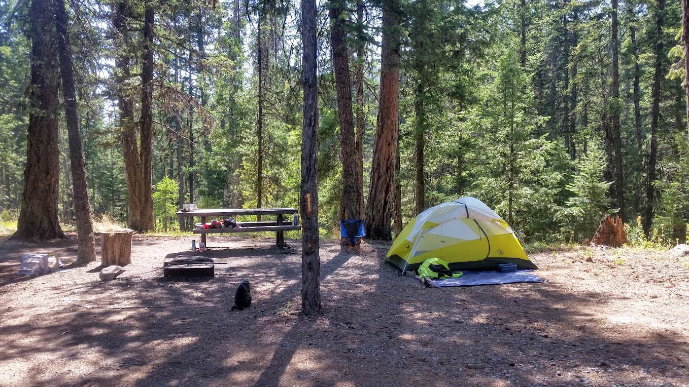 Camper submitted image from Loup Loup Campground - 4