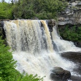 Review photo of Blackwater Falls State Park Campground by Drew , May 28, 2022