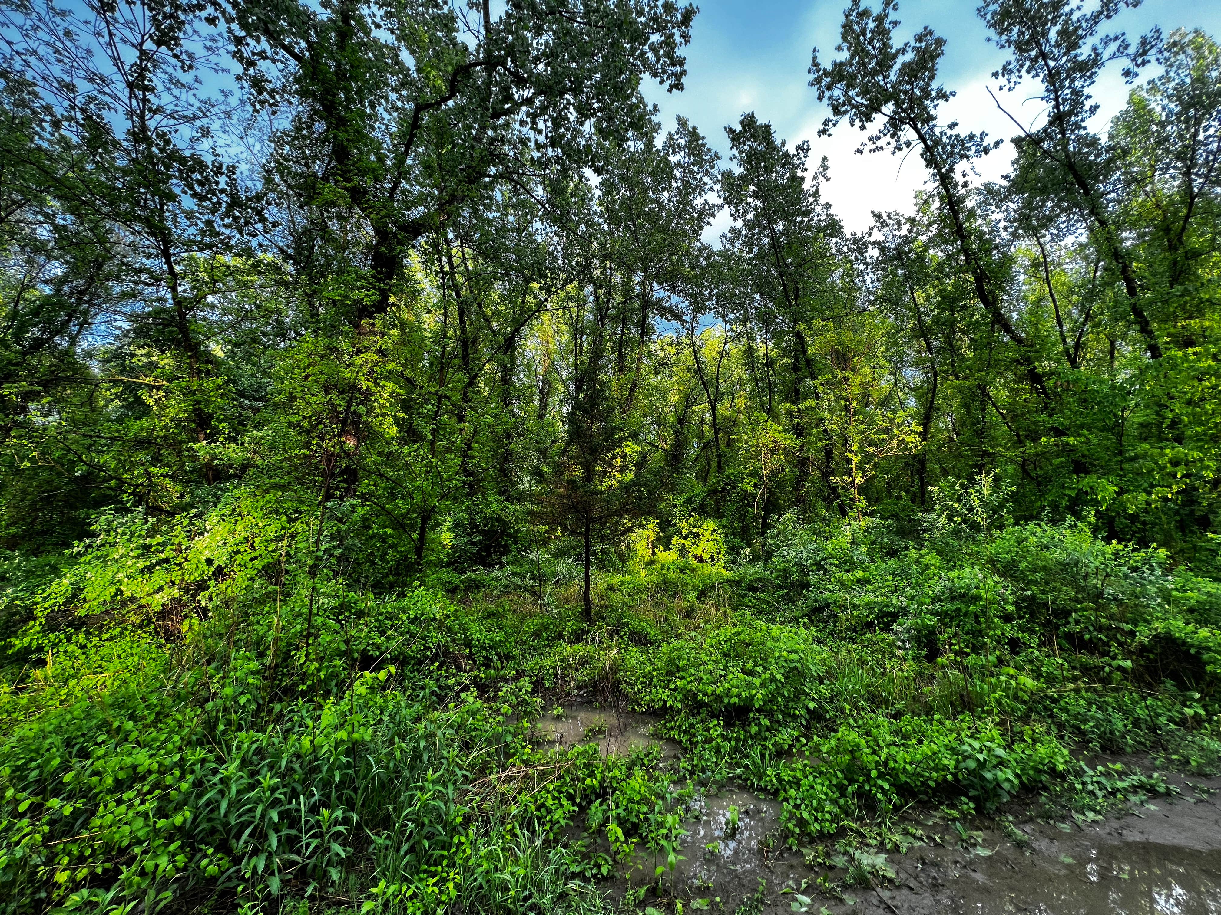 Camper-submitted photo at Schodack Island State Park Campground near West Stockbridge, MA