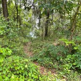 Review photo of High Bluff - Joe Budd WMA and Lake Talquin State Forest by Al L., April 17, 2022