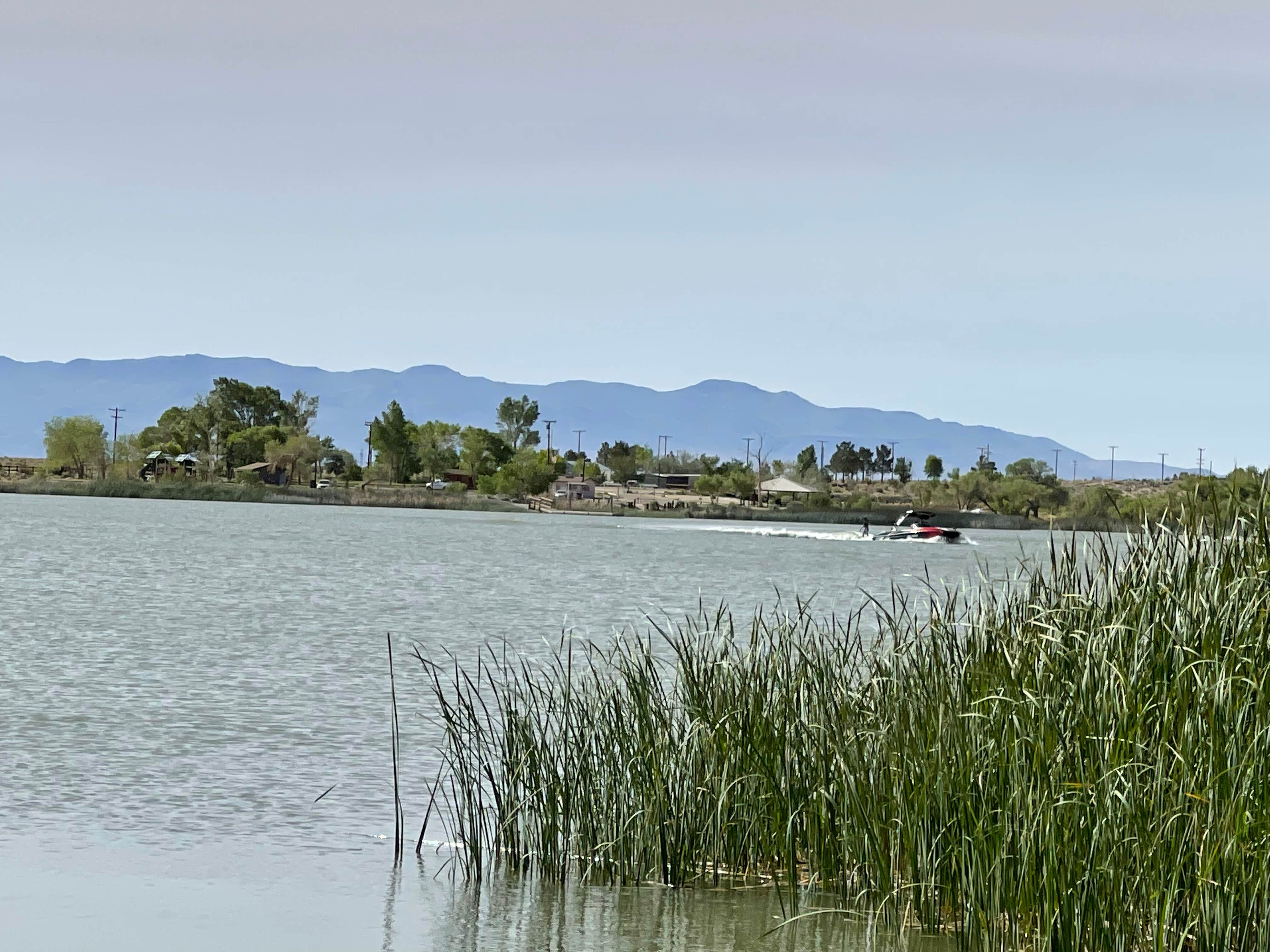 Camper submitted image from Inyo County Diaz Lake Campground - 5