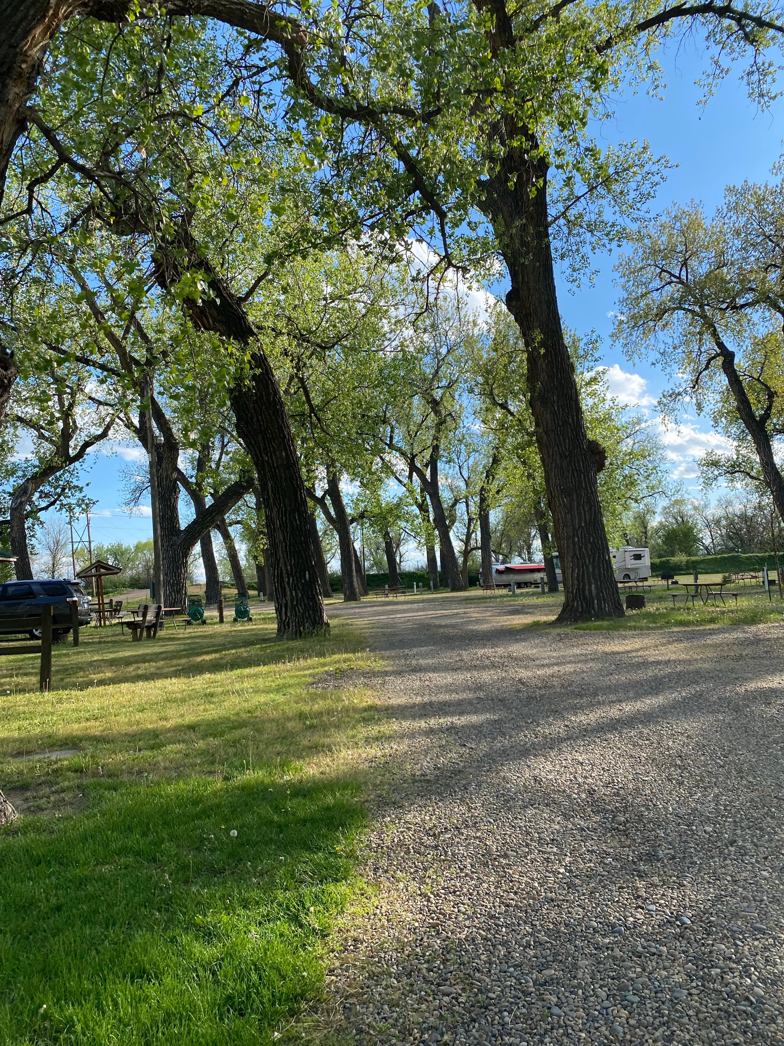 Camper submitted image from Miles City KOA - 5