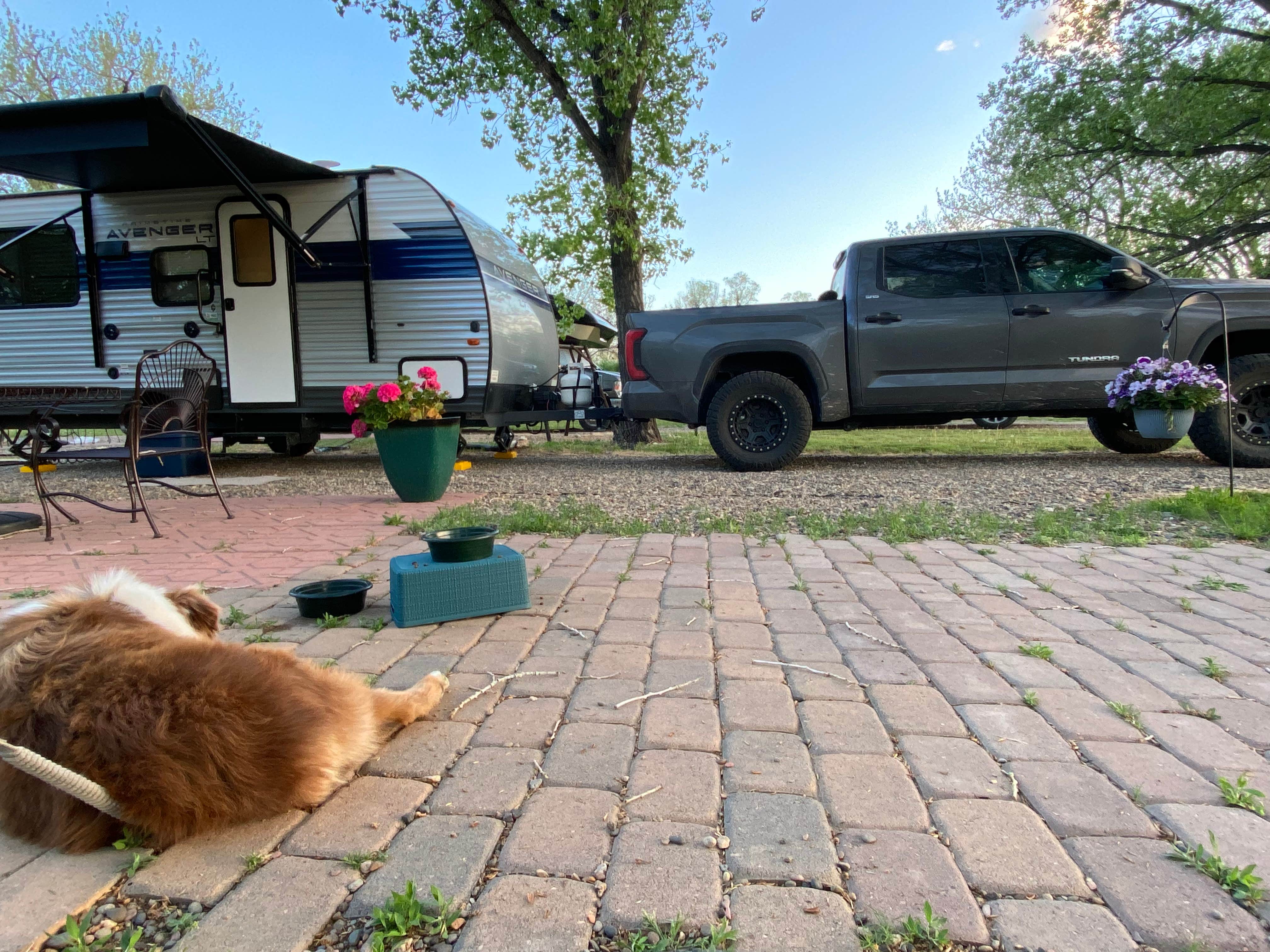 Amy E.'s photo at Miles City KOA near Terry, MT