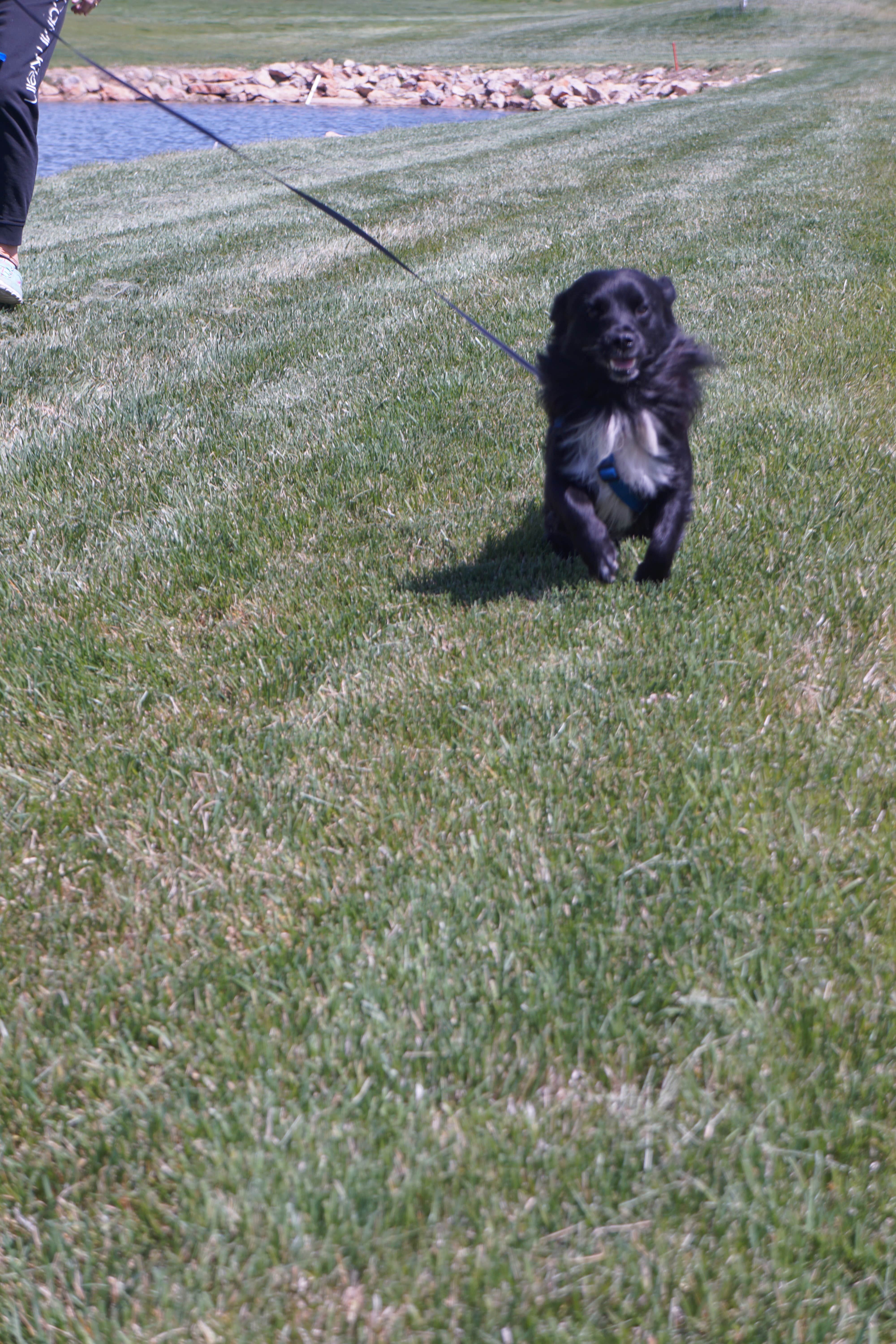 Camper-submitted photo at Gladstan Golf Course & RV park near Payson, UT