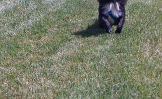 Kevin H.'s photo of camping with pets at Gladstan Golf Course & RV park near Santaquin, UT