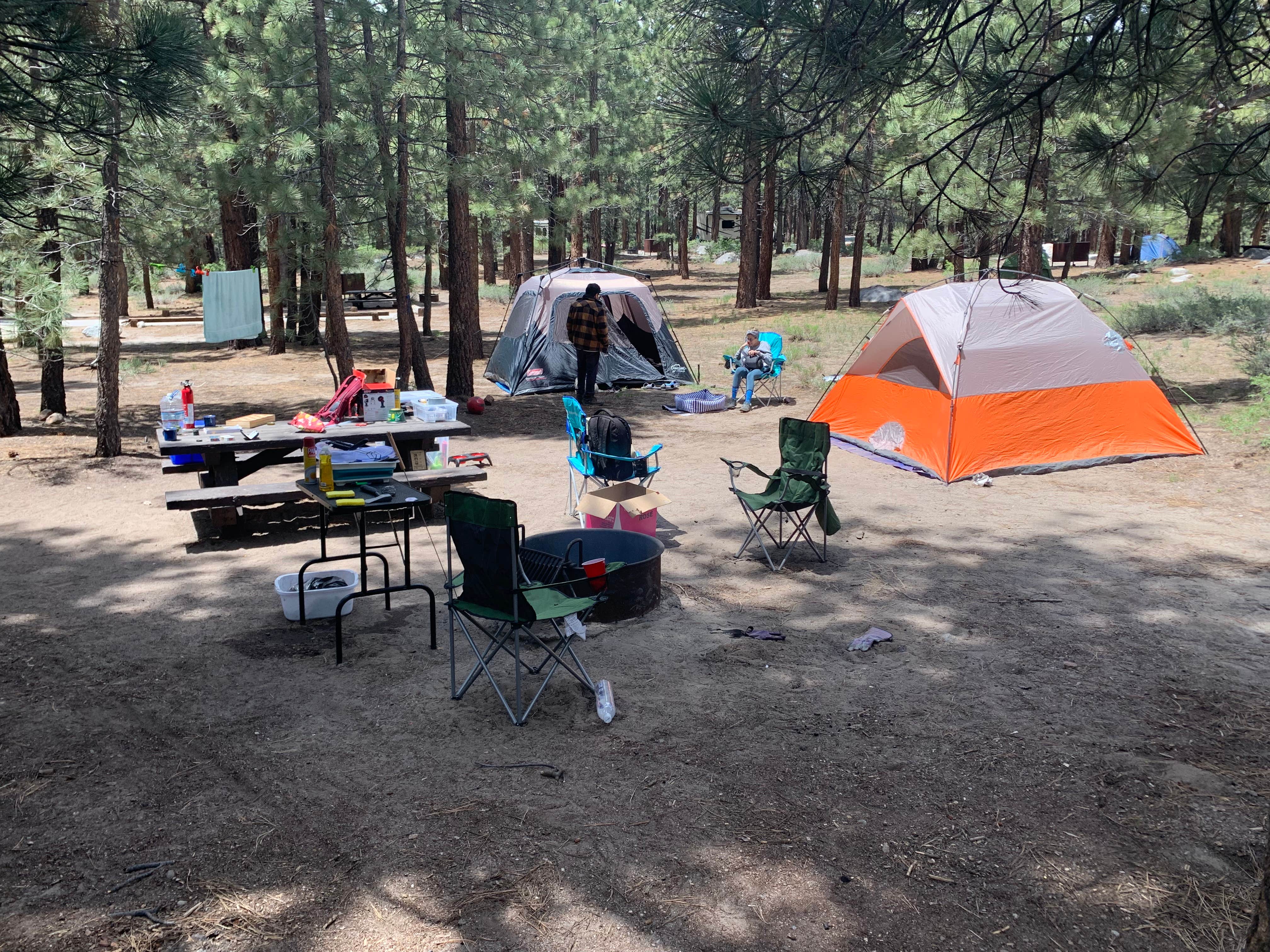 Brett P.'s photo at Old Shady Rest Campground near Inyo National Forest