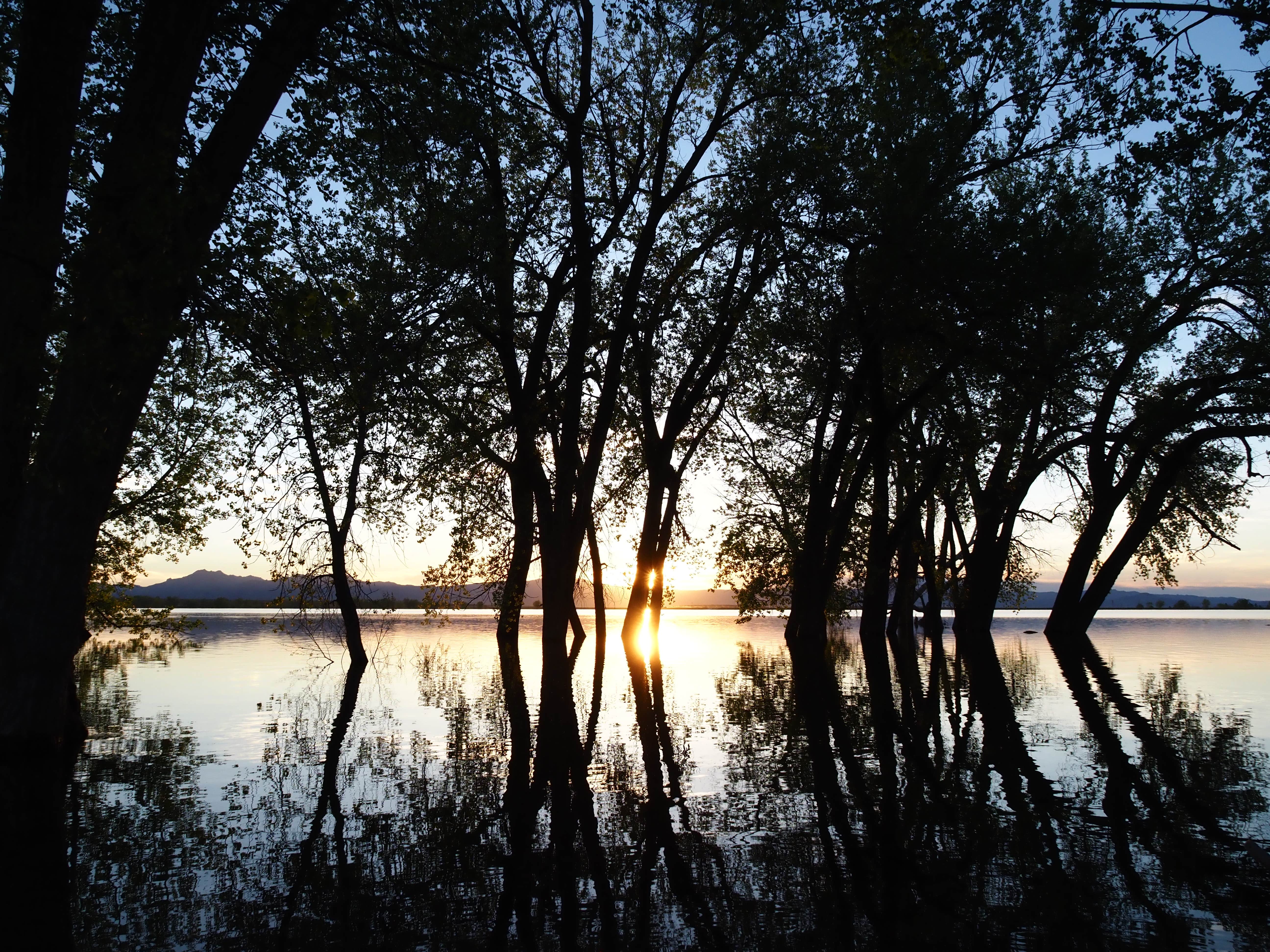 Camper submitted image from Wheatland Reservoir #1 - Public Access Area - 1