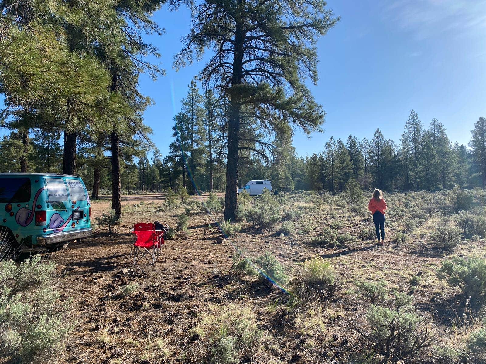 Name's photo at Forest Service Road 328 Dispersed near Grand Canyon, AZ