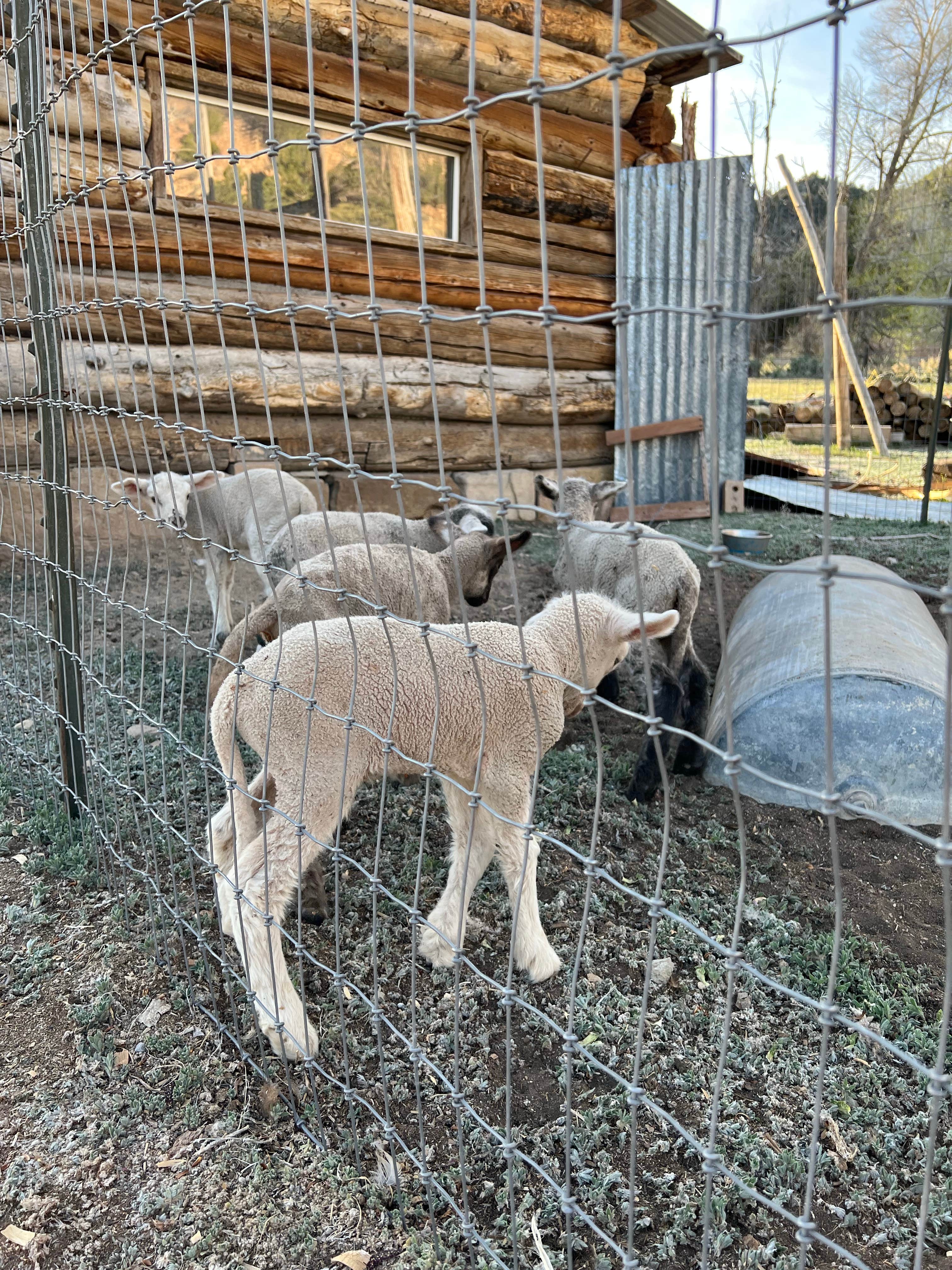 Camper-submitted photo at Nine Mile Canyon Ranch near Kenilworth, UT