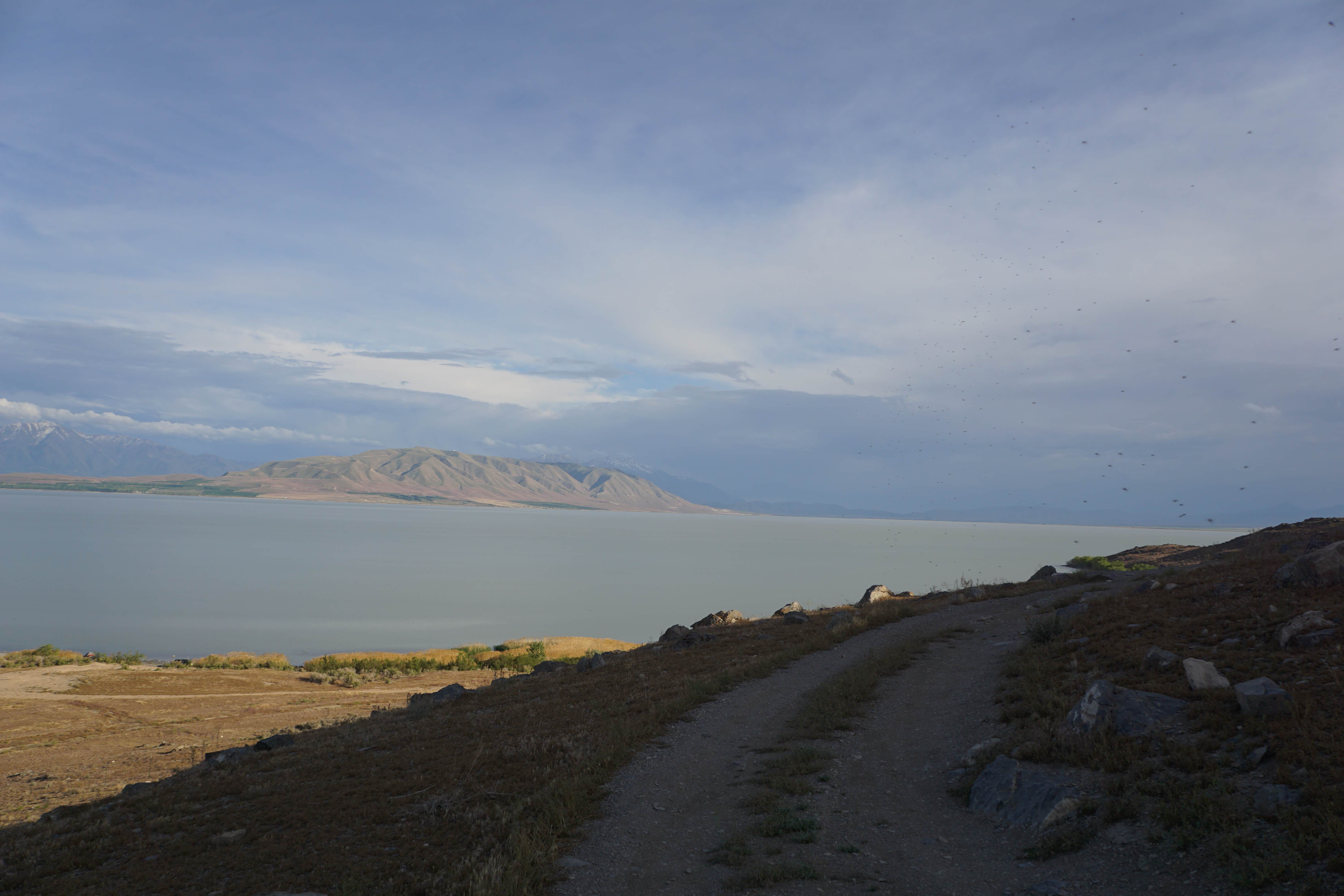 Camper submitted image from Miners Canyon BLM - 3