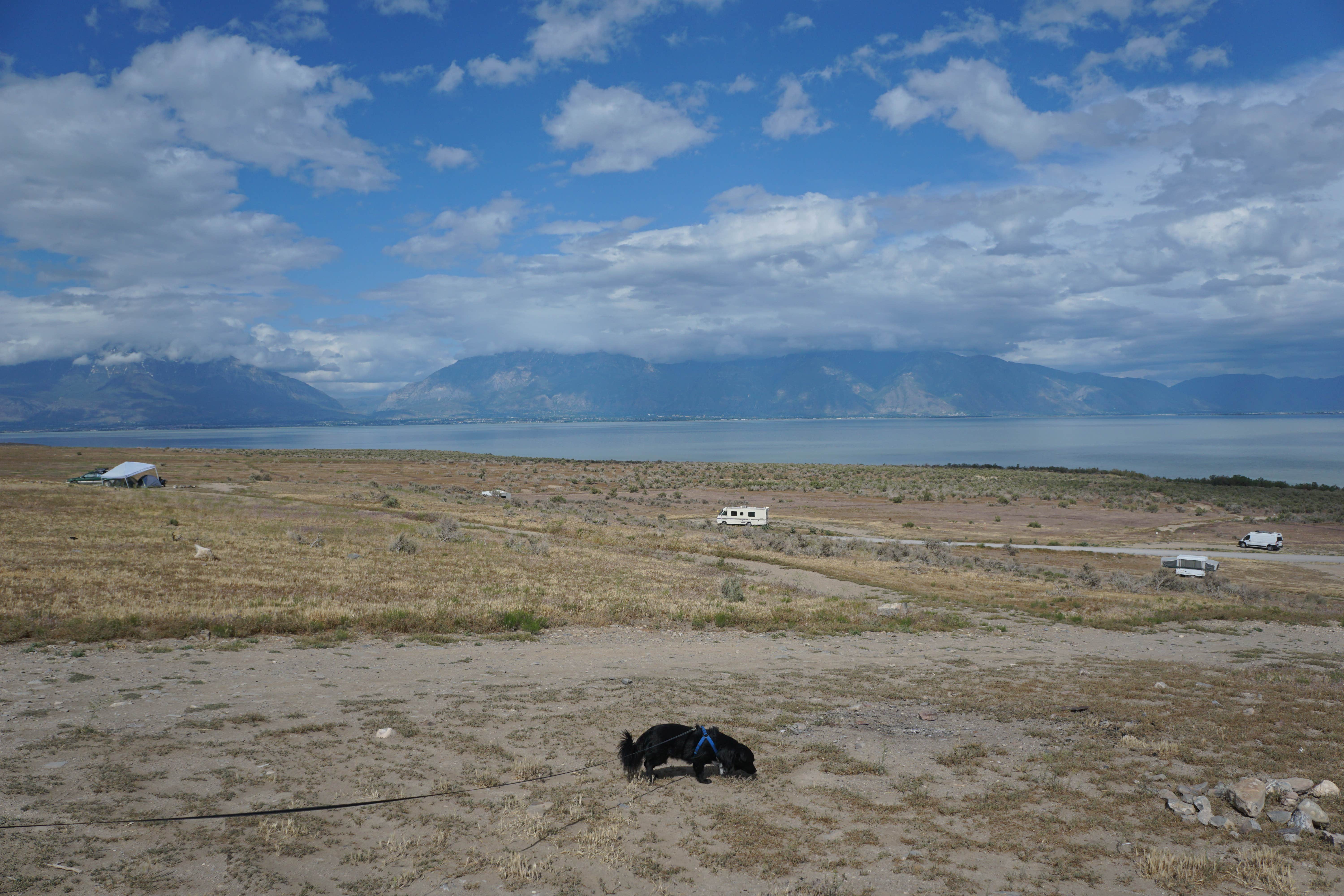 Kevin H.'s photo of a dispersed camping area at Miners Canyon BLM near Midvale, UT