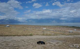 Kevin H.'s photo of camping with pets at Miners Canyon BLM near Santaquin, UT