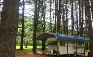 Cherie A.'s photo of rv camping at Canned Ham Camp near Cedar Run, PA