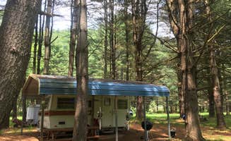 Cherie A.'s photo at Canned Ham Camp near Driftwood, PA