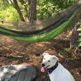 Review photo of Isle du Bois — Ray Roberts Lake State Park by Michelle M., July 14, 2018