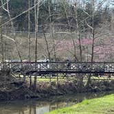 Review photo of Middle Fork Campground — Natural Bridge State Resort Park by Jennifer D., May 29, 2022