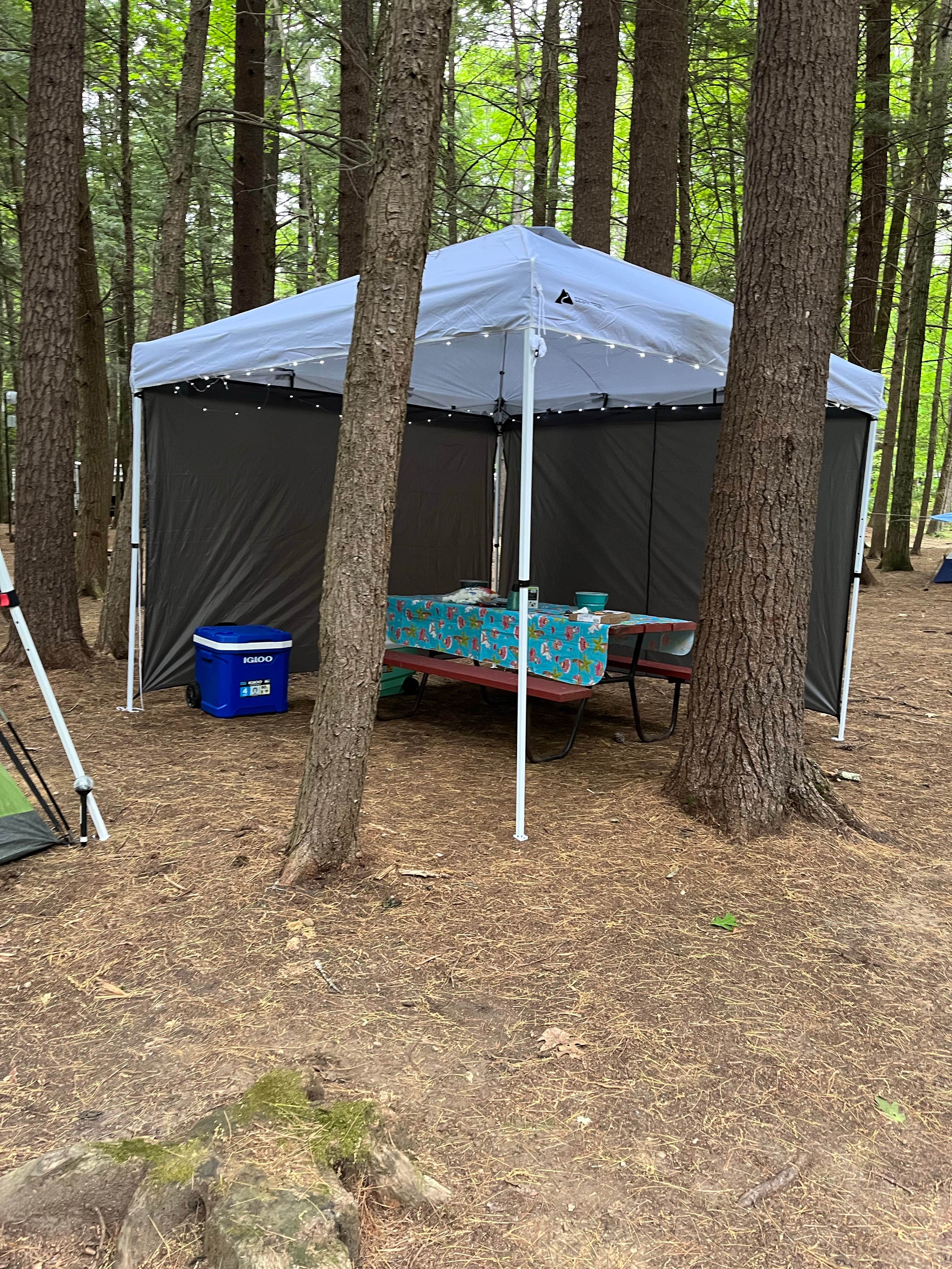 Crown Point Camping Area