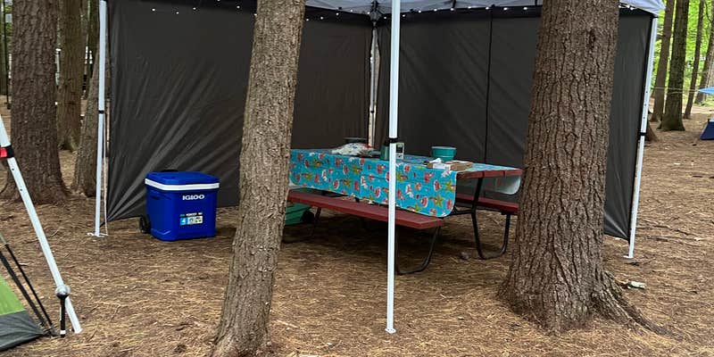 Camper submitted image from Crown Point Camping Area