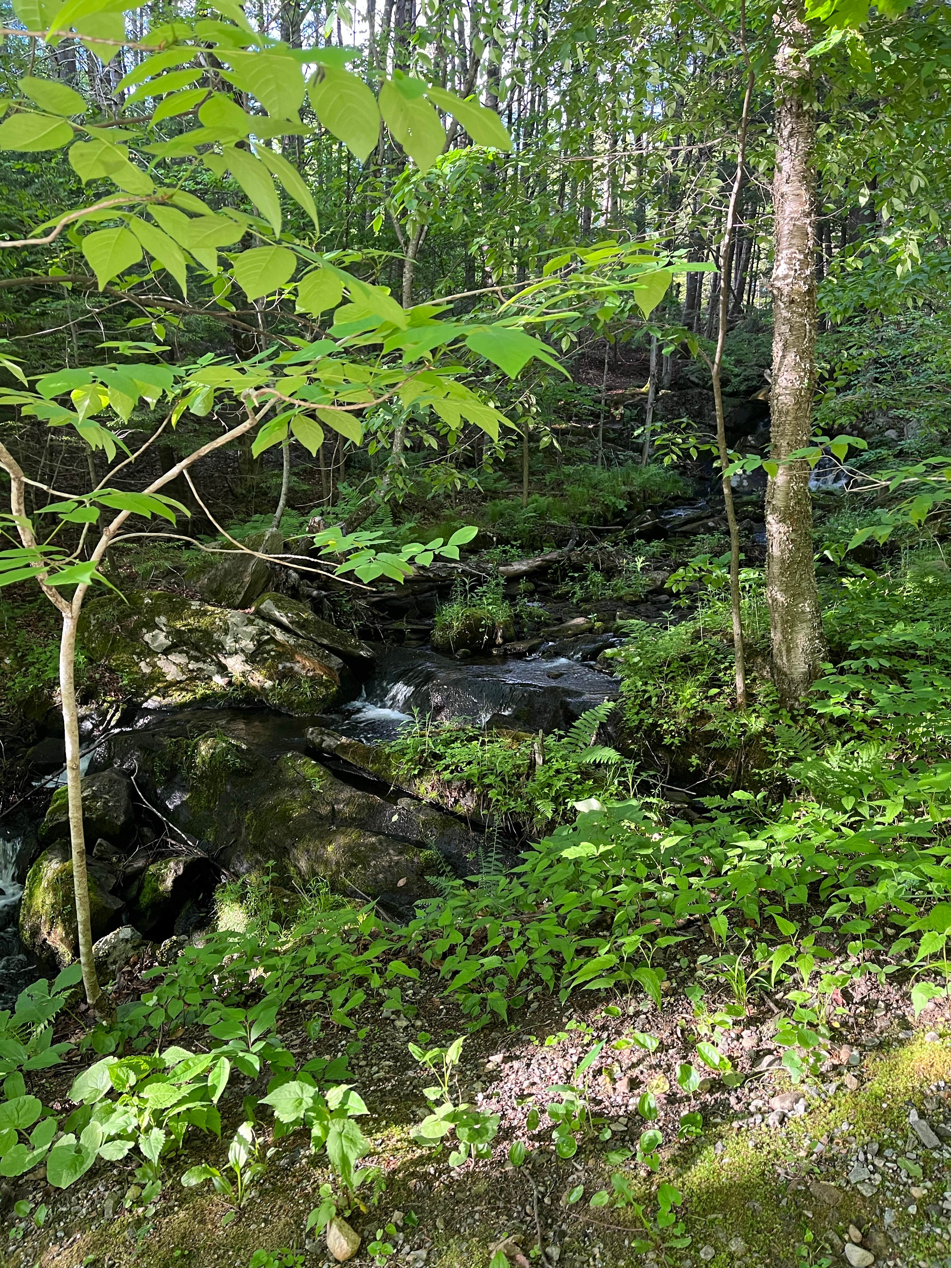 Camper-submitted photo at Crown Point Camping Area near Cornish, NH