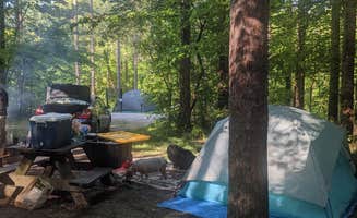 Fern B.'s photo at Yellowwood State Forest near Nashville, IN