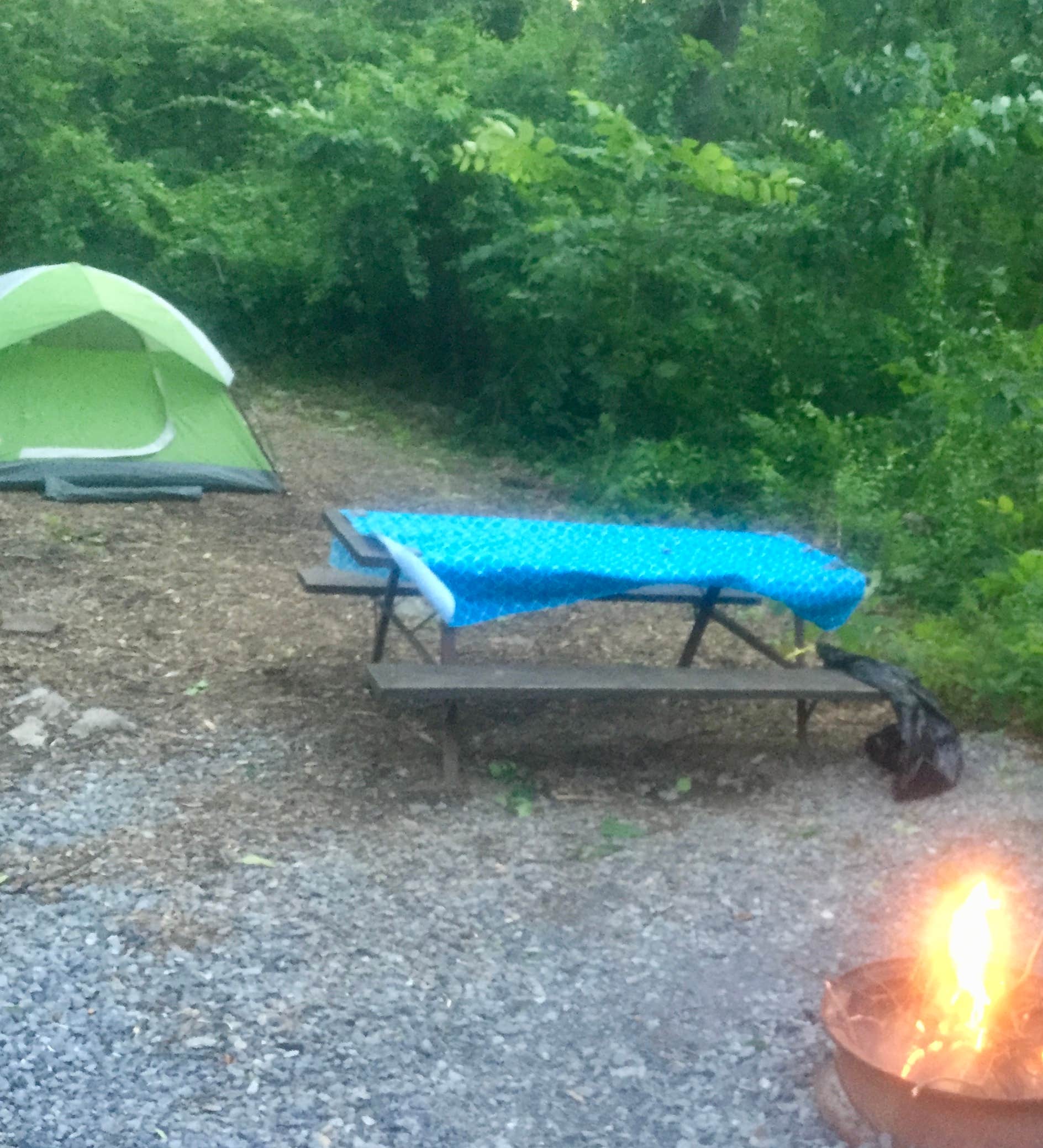 Michelle  .'s photo at Jellystone Park™ Williamsport near Greencastle, PA