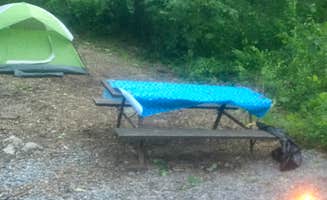 Michelle .'s photo at Jellystone Park™ Williamsport in Maryland