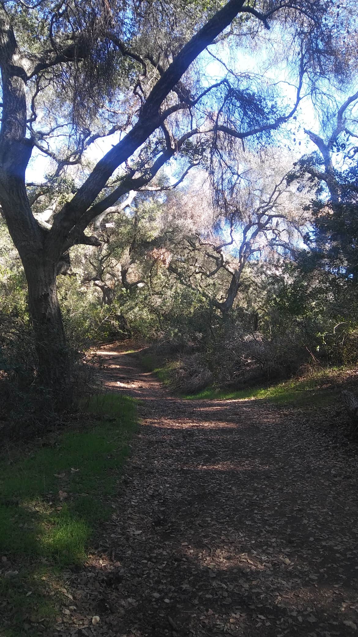 Camper submitted image from Kumeyaay Lake Campground - 2