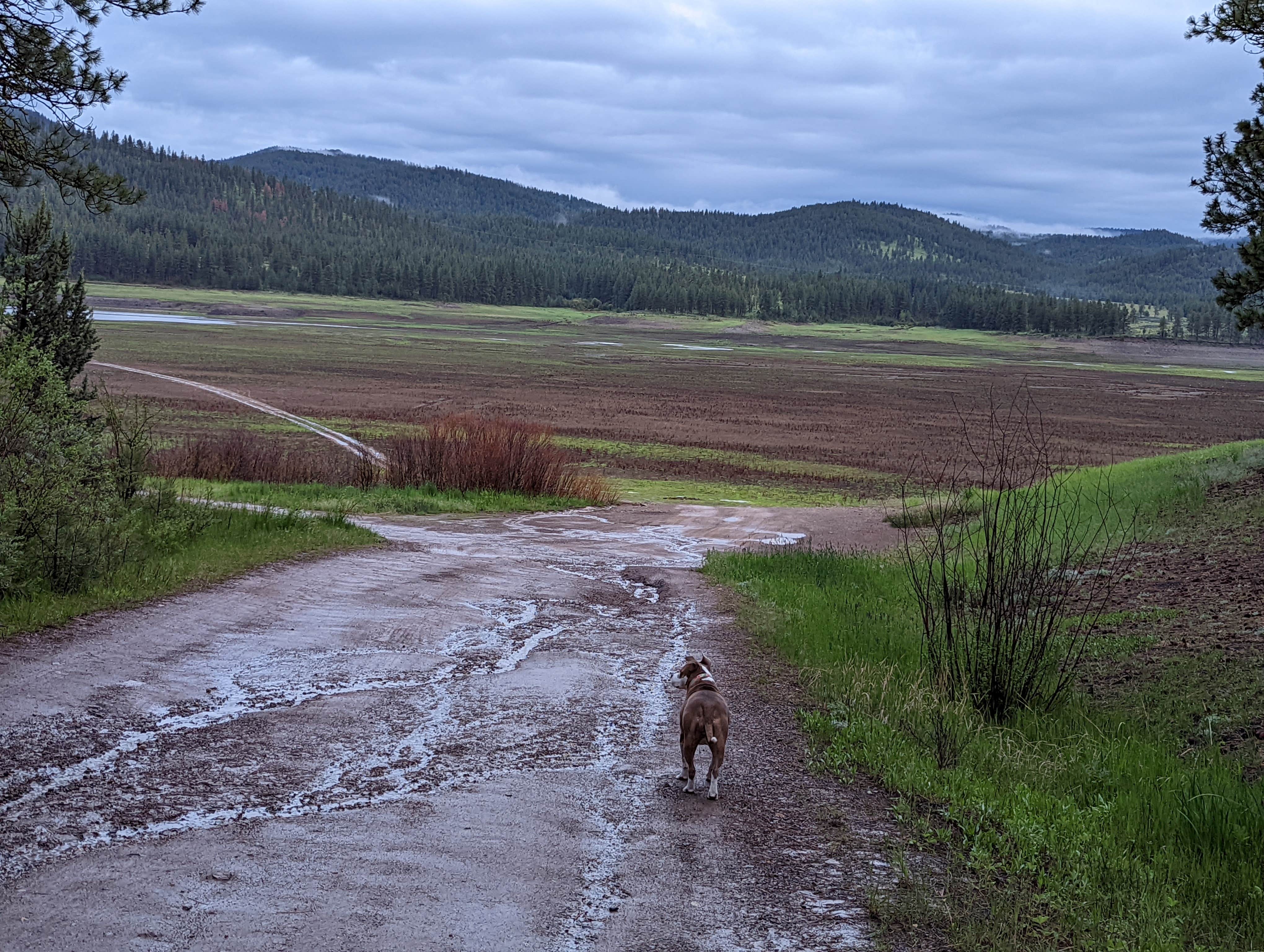 Camping near Lunch Creek: Social Security Point, Sumpter, Oregon