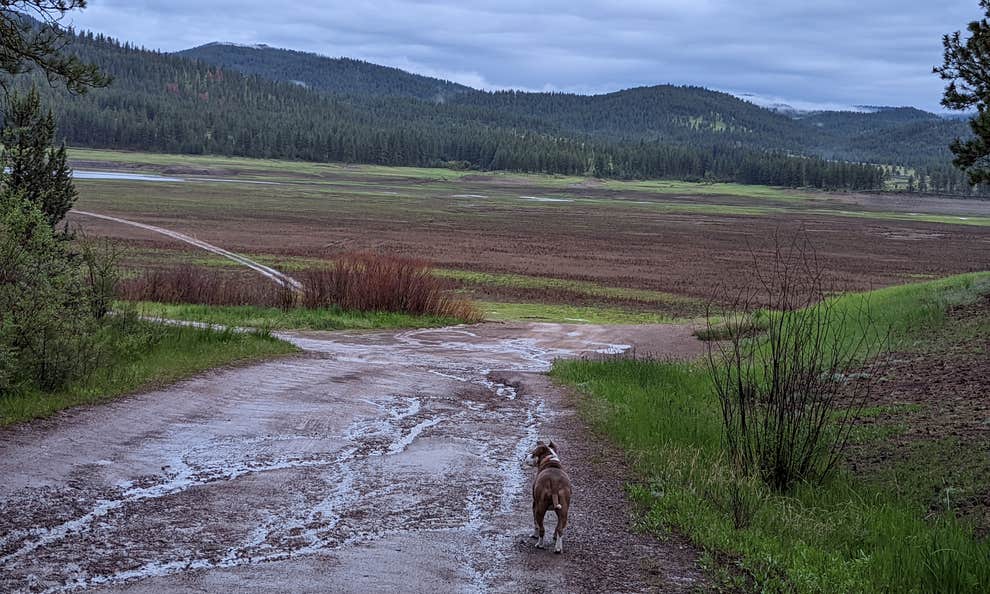 Social Security Point Trailhead Camping | Sumpter, OR | The Dyrt