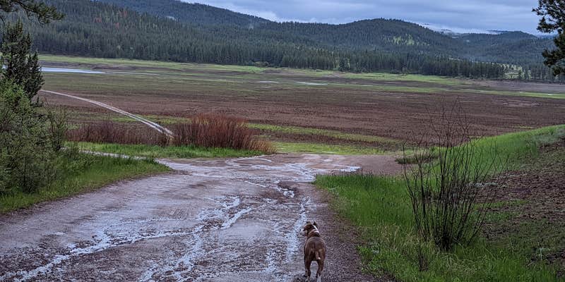 Camper submitted image from Social Security Point