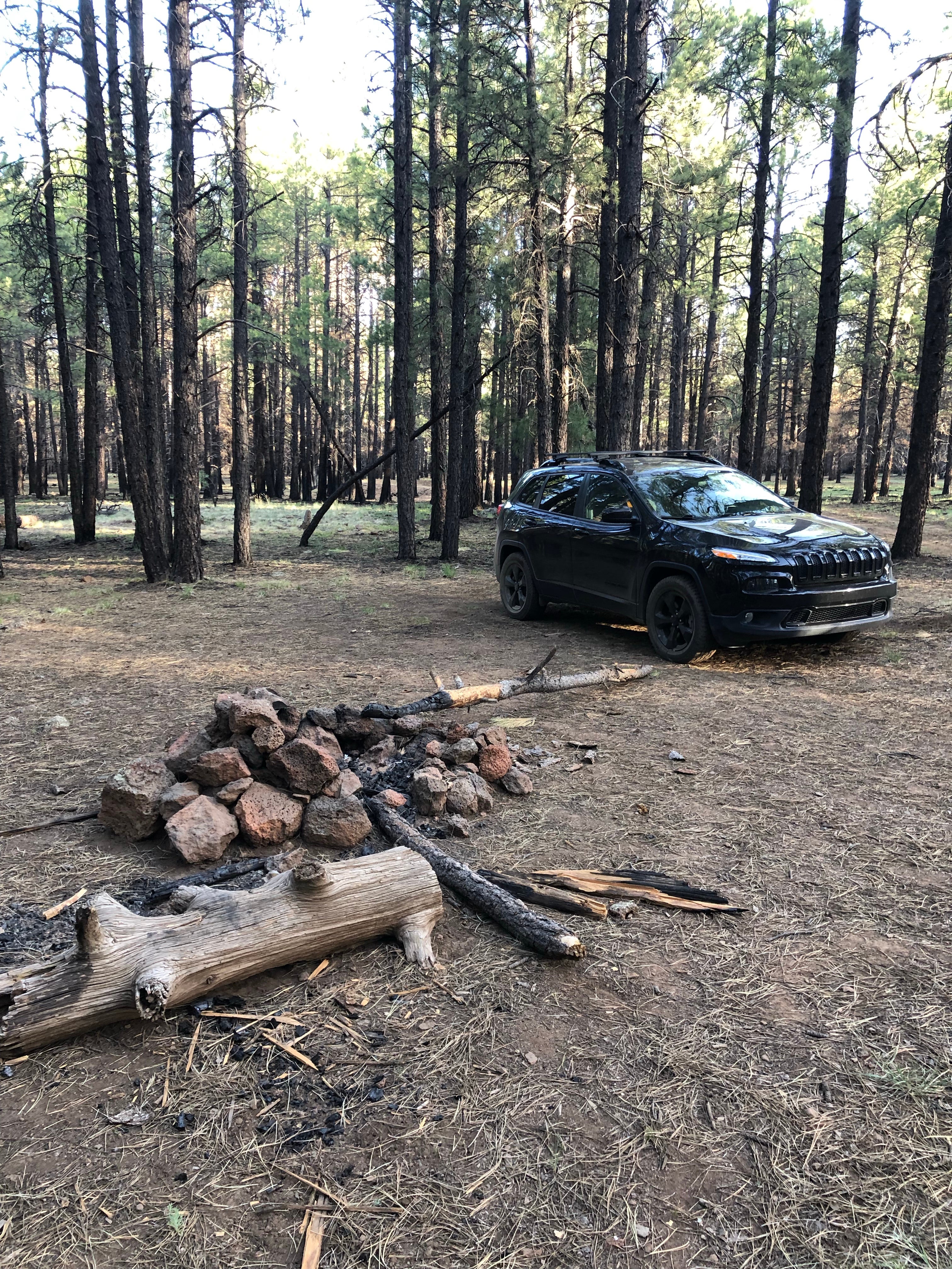 Camper submitted image from Forest Service Road 245 - 2