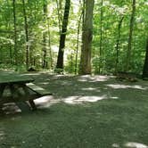 Review photo of Breaks Interstate Park Campground by Katrin M., May 29, 2022