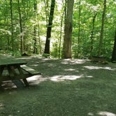 Review photo of Breaks Interstate Park Campground by Katrin M., May 29, 2022