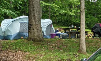 Camping near Chestnut Knob Shelter, Appalachian Trail: Cavitts Creek Park, North Tazewell, Virginia