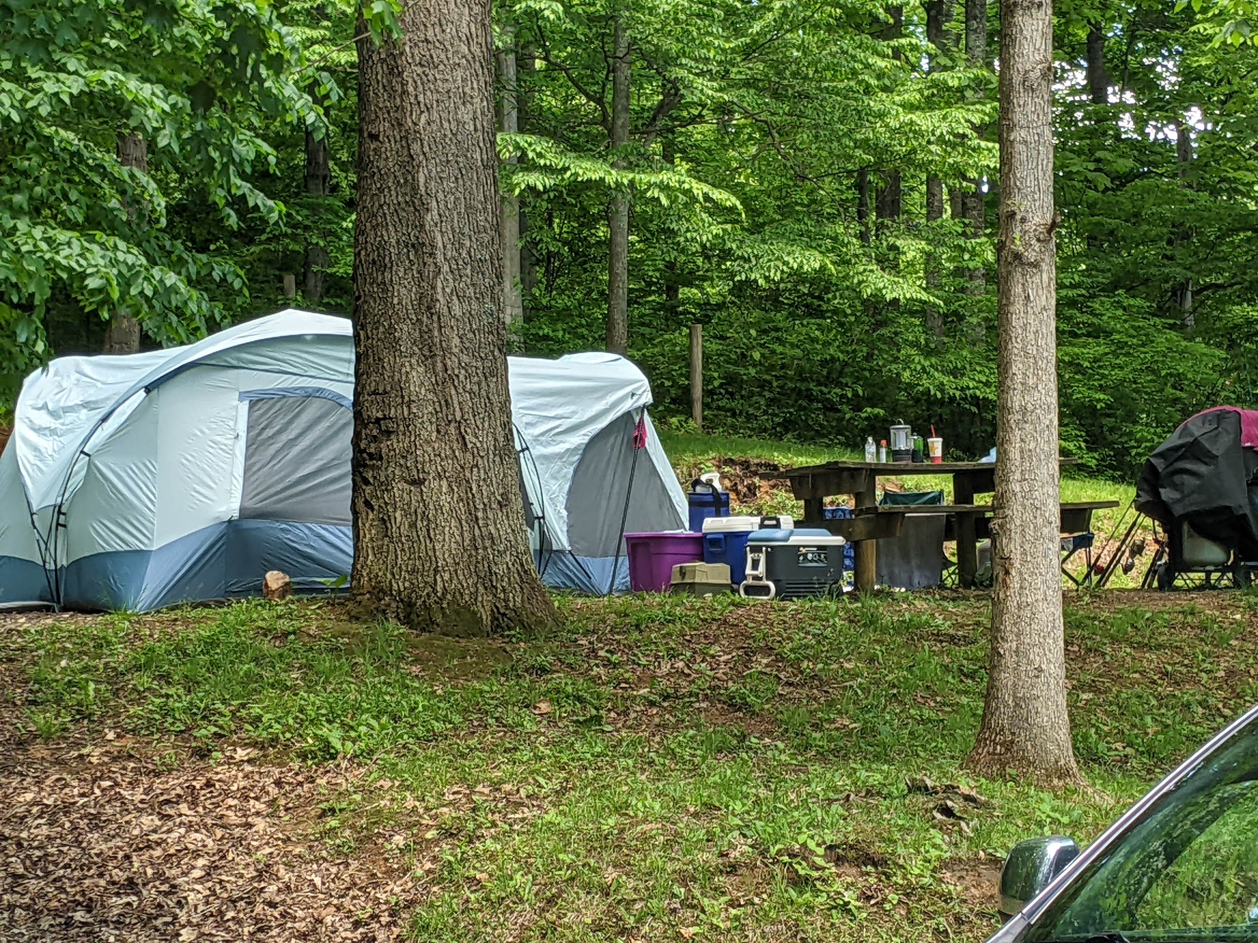 Camper submitted image from Cavitts Creek Park - 1