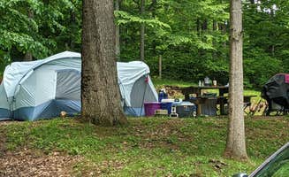Kari H.'s photo at Cavitts Creek Park near North Tazewell, VA
