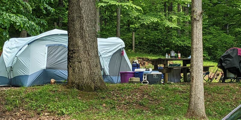 Camper submitted image from Cavitts Creek Park
