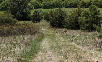 Joe A.'s photo of camping with pets at Berry Bridge Campground near Sparks, NE