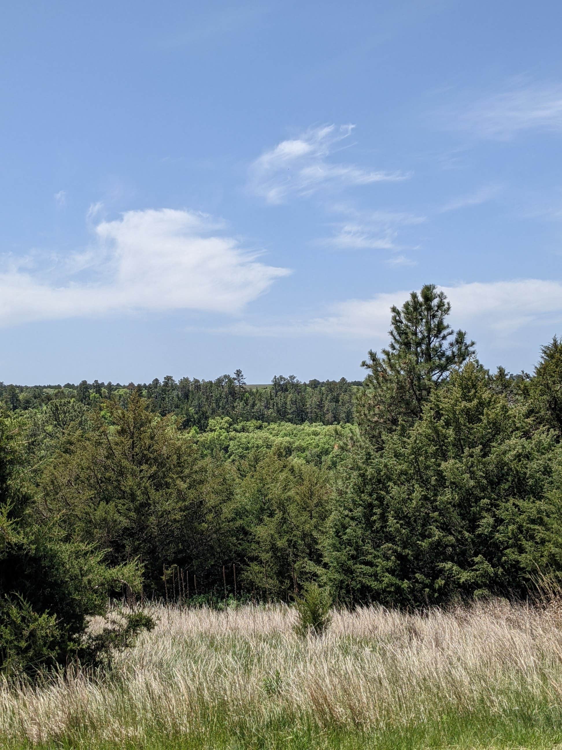 Camper-submitted photo at Berry Bridge Campground near Valentine, NE