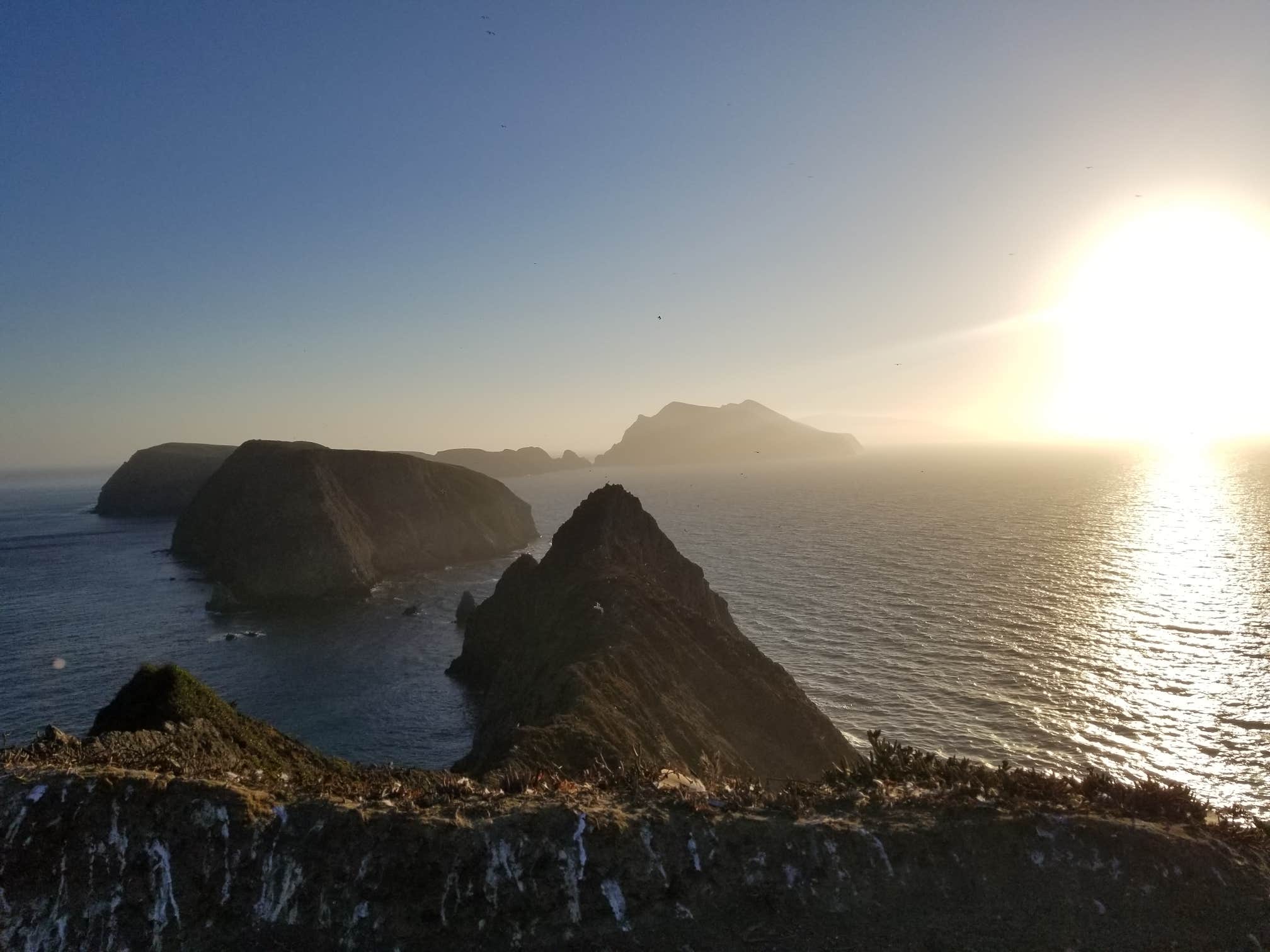 Camper-submitted photo at Anacapa Island Campground — Channel Islands National Park near Channel Islands National Park