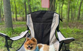 Nick C.'s photo of camping with pets at Greenbelt Park Campground — Greenbelt Park near Parkville, MD