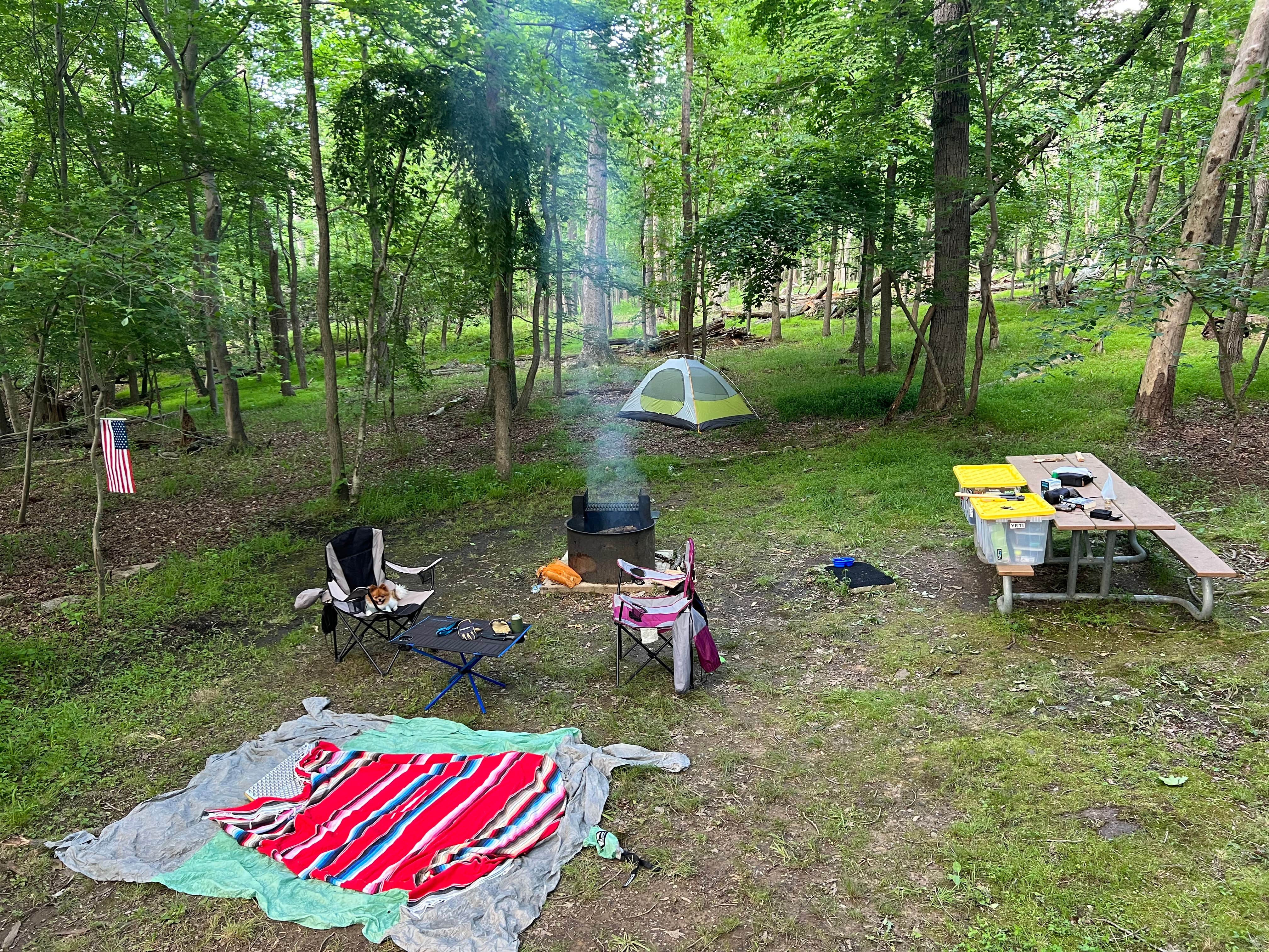 Nick C.'s photo at Greenbelt Park Campground — Greenbelt Park near Greenbelt Park