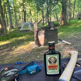 Review photo of Greenbelt Park Campground — Greenbelt Park by Nick C., May 29, 2022