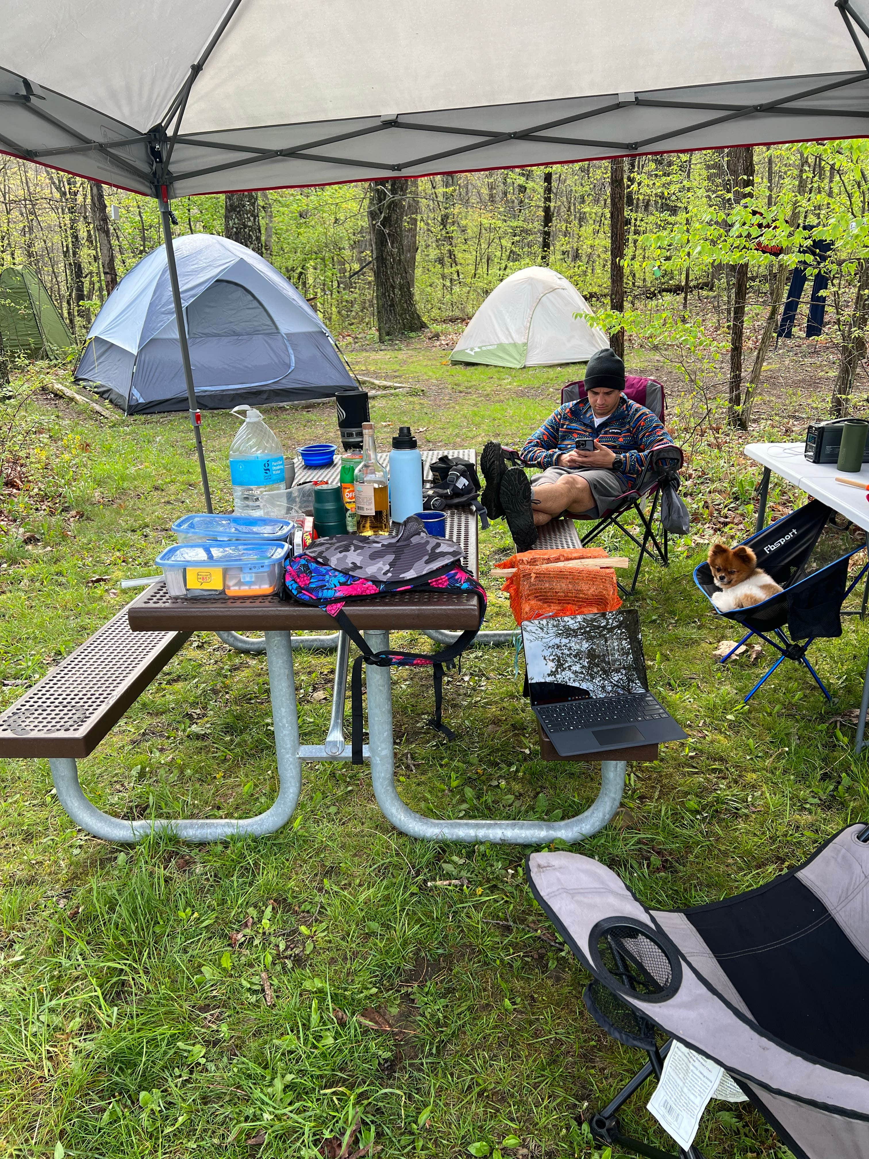 Nick C.'s photo at Mathews Arm Campground — Shenandoah National Park near Bentonville, VA