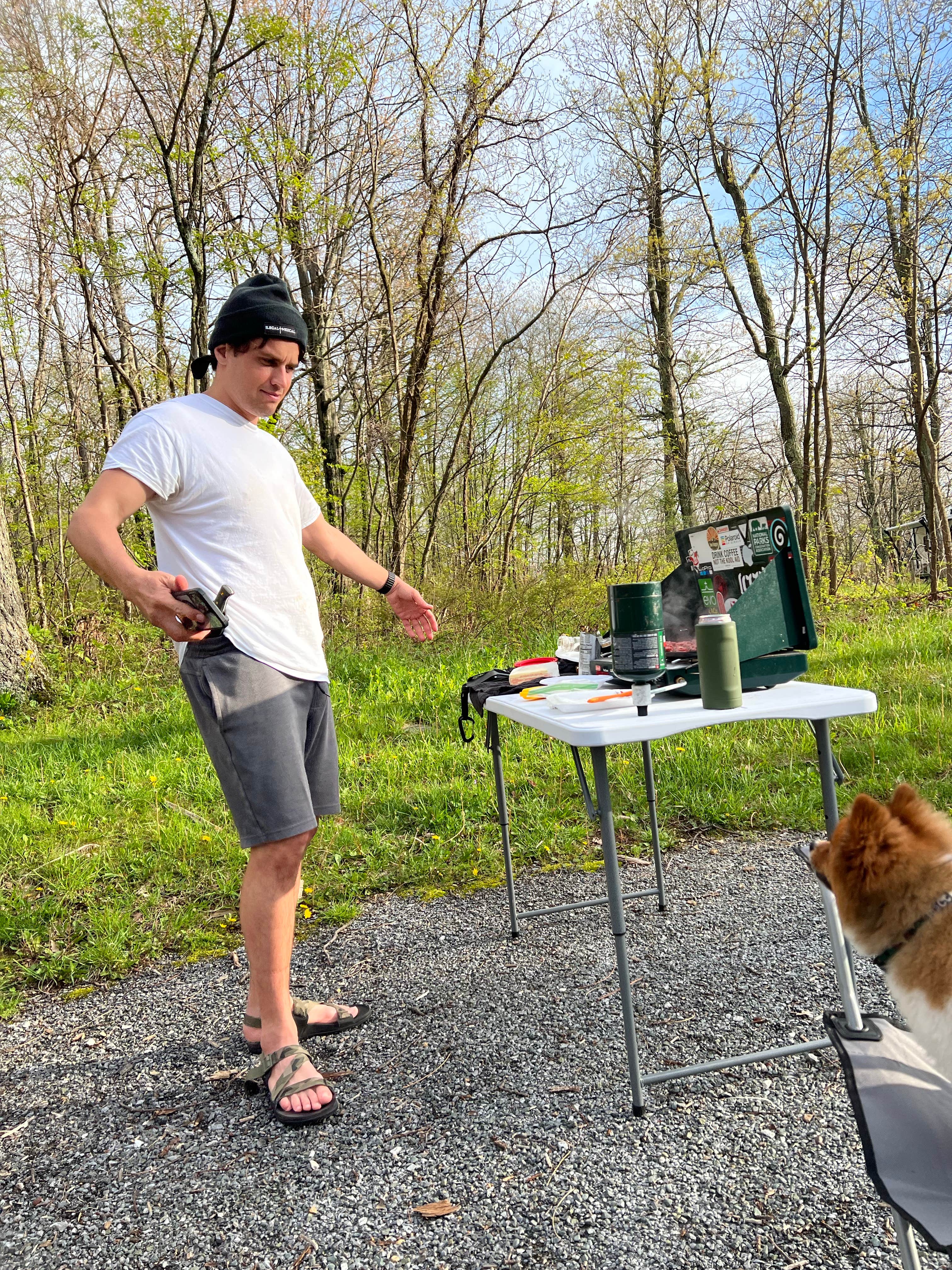 Nick C.'s photo of camping with pets at Mathews Arm Campground — Shenandoah National Park near Shenandoah, VA